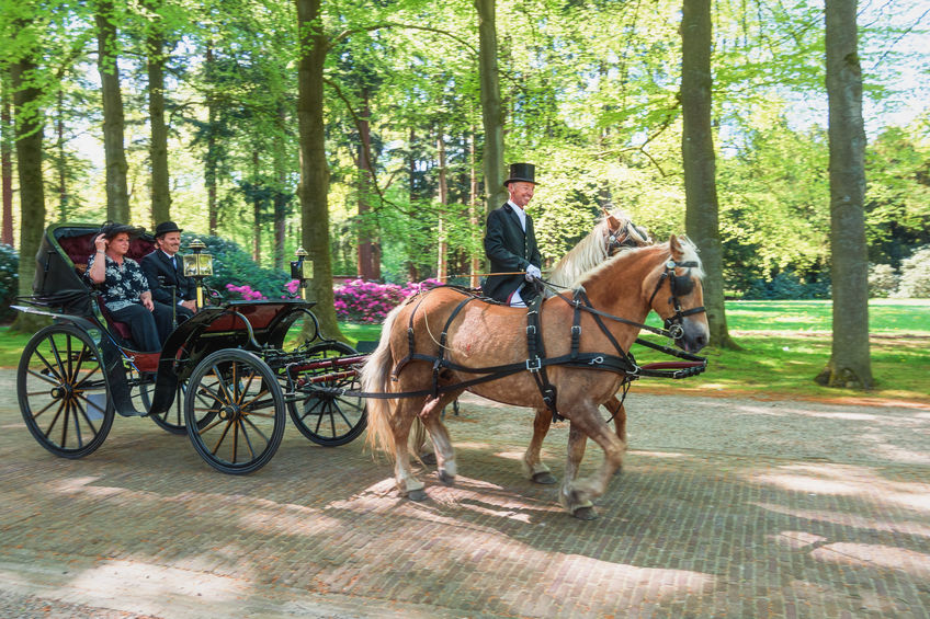 Procession of coaches on the lane to the Palace Het Loo in Apeld